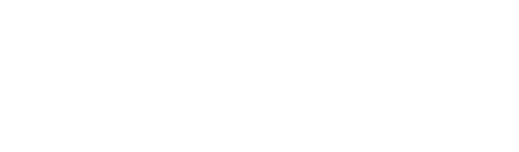 logo-morimoto-w